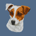 Parson Russell Terrier Embroidered Women's Denim Shirt