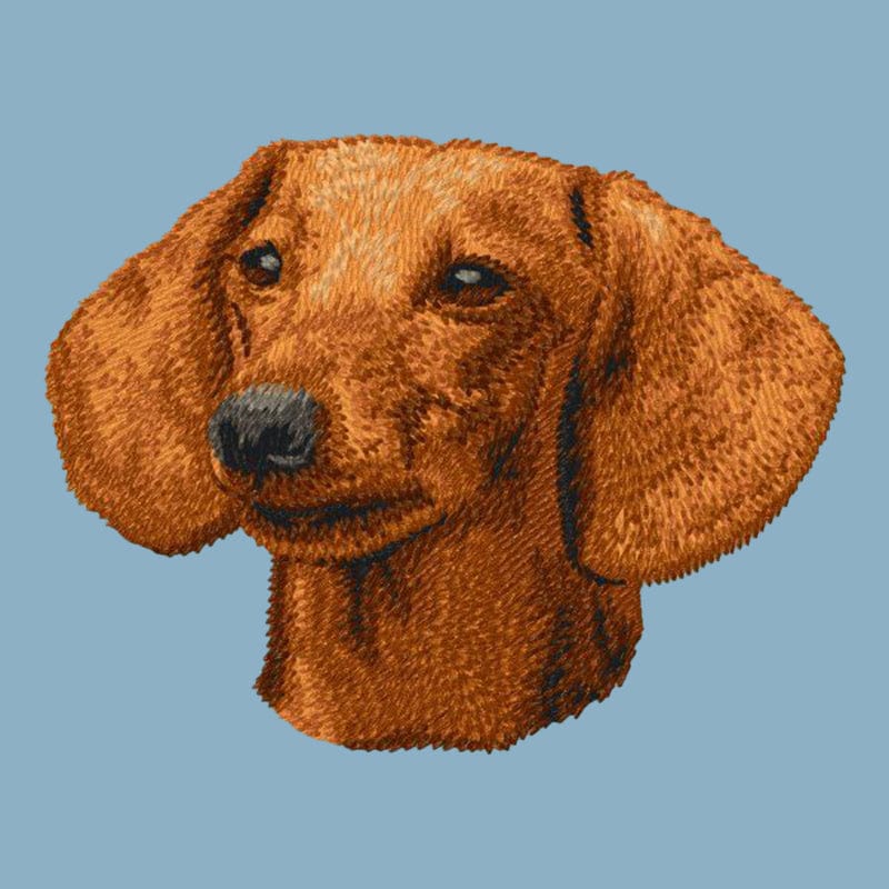 Dachshund Embroidered Sweatshirt Hoodie