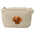 Dachshund Embroidered Crossbody Bag