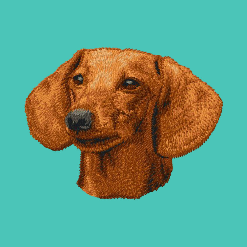 Dachshund Embroidered Baseball Cap