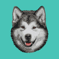 Alaskan Malamute Embroidered Baseball Cap