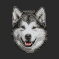 Alaskan Malamute Embroidered Wearable Blanket