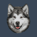 Alaskan Malamute Embroidered Women's Denim Shirt