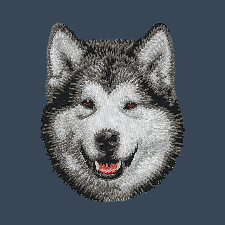 Alaskan Malamute Embroidered Women's Denim Shirt