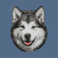 Alaskan Malamute Embroidered Women's Denim Shirt