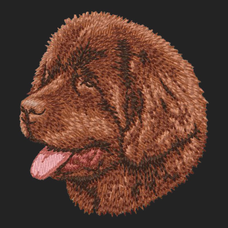 Newfoundland Embroidered Sweatshirt Hoodie