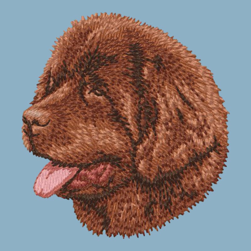 Newfoundland Embroidered Sweatshirt Hoodie