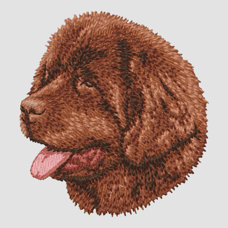 Newfoundland Embroidered Sweatshirt Hoodie