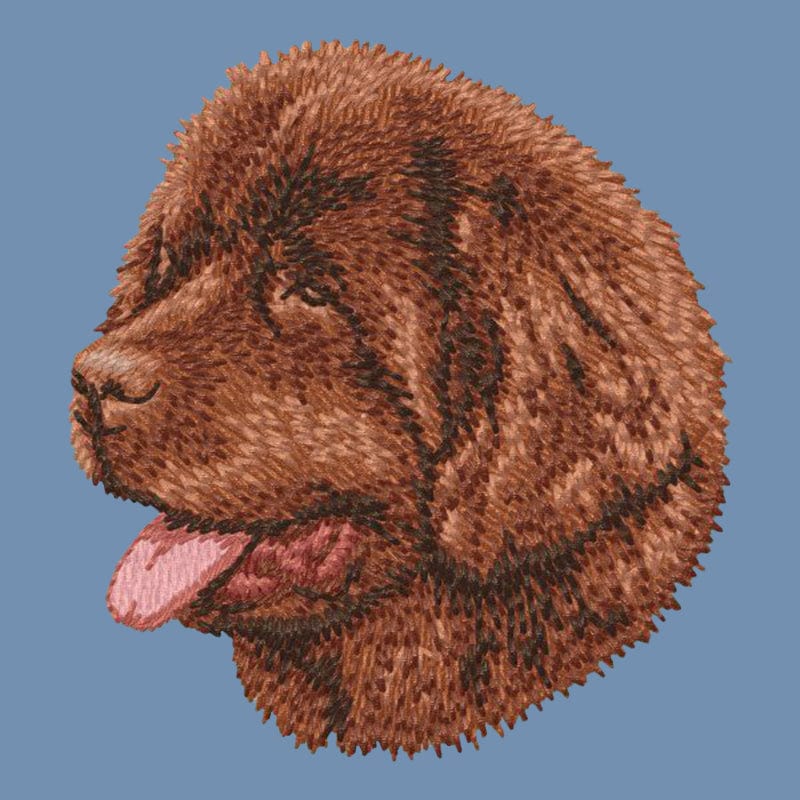 Newfoundland Embroidered Men's Denim Shirt