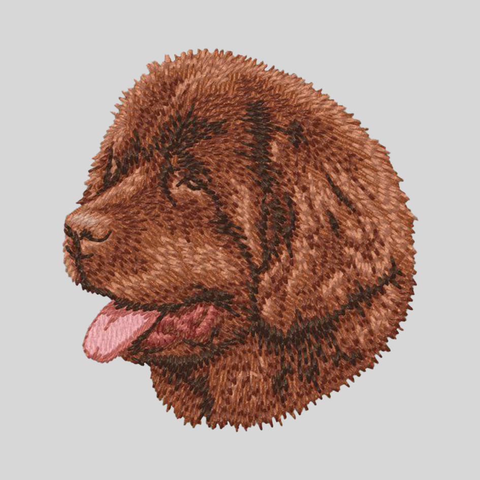 Newfoundland Embroidered Mock Neck Sweatshirt
