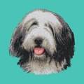 Bearded Collie Embroidered Baseball Cap