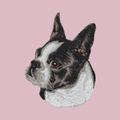 Boston Terrier Embroidered Baseball Cap