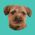 Border Terrier Embroidered Baseball Cap