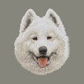Samoyed Embroidered Baseball Cap