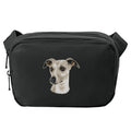 Whippet Embroidered Crossbody Bag
