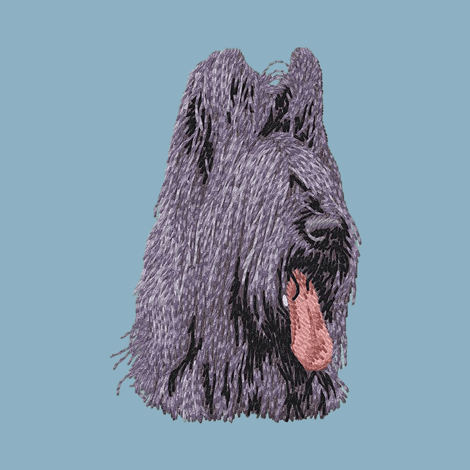 Briard Embroidered Sweatshirt Hoodie
