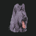 Briard Embroidered Crossbody Bag