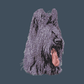 Briard Embroidered Baseball Cap