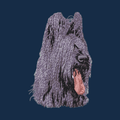 Briard Embroidered Men's Denim Shirt