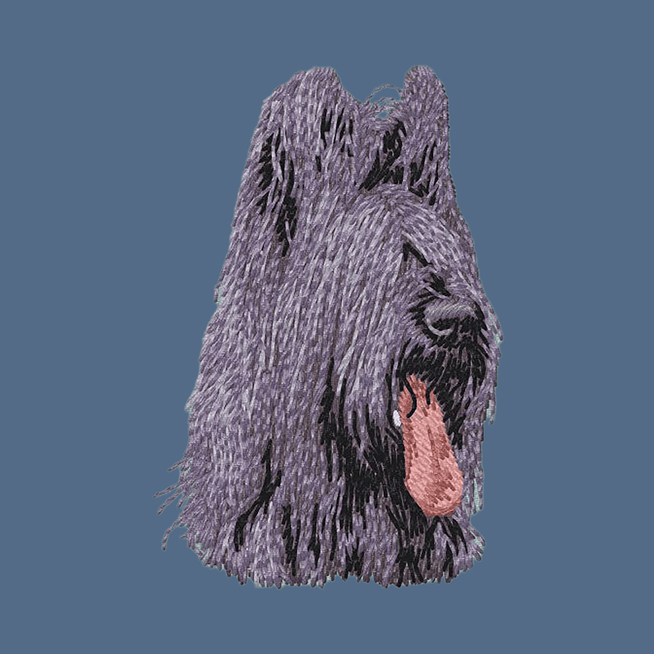 Briard Embroidered Women's Denim Shirt