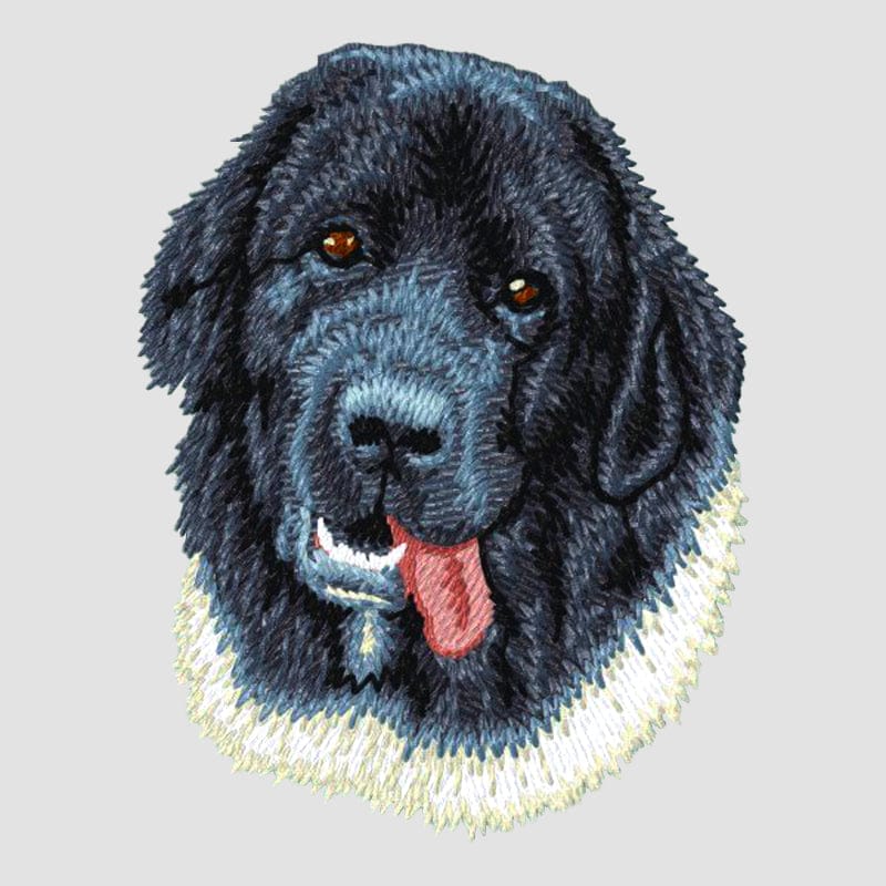 Newfoundland Embroidered Sweatshirt Hoodie