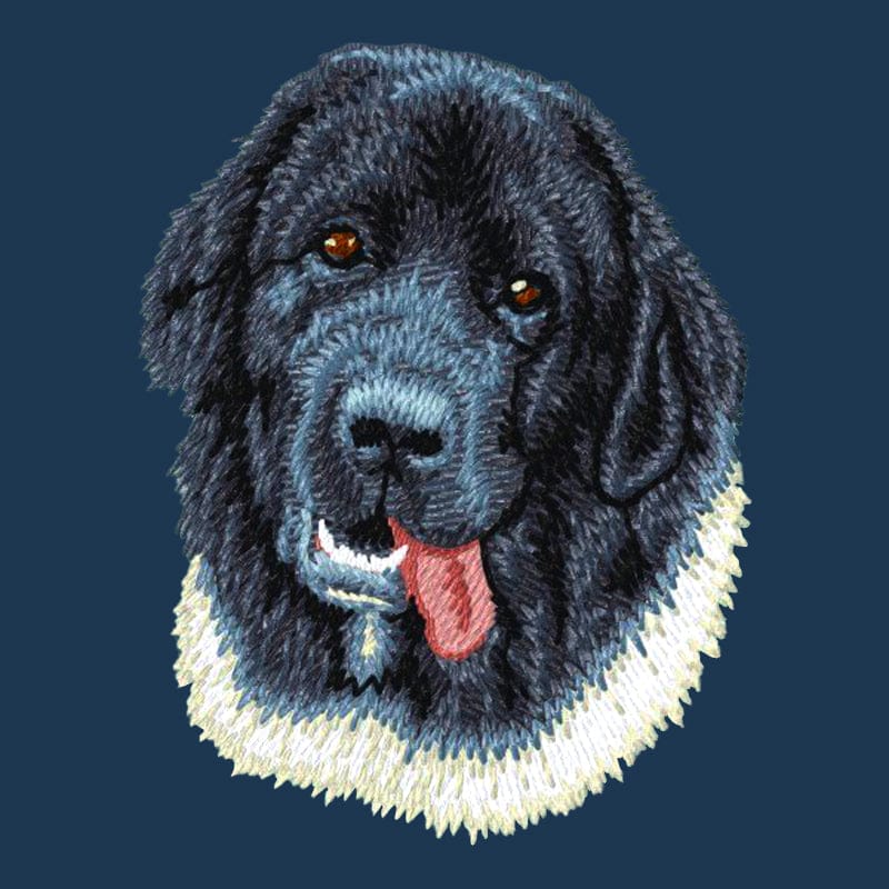 Newfoundland Embroidered Men's Denim Shirt