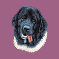Newfoundland Embroidered Classic Long Sleeve Shirt