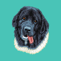 Newfoundland Embroidered Baseball Cap