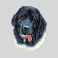 Newfoundland Embroidered Mock Neck Sweatshirt