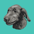 Irish Wolfhound Embroidered Baseball Cap