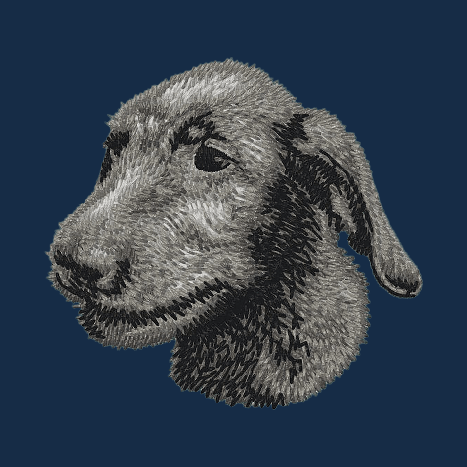 Irish Wolfhound Embroidered Men's Denim Shirt