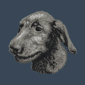 Irish Wolfhound Embroidered Women's Denim Shirt