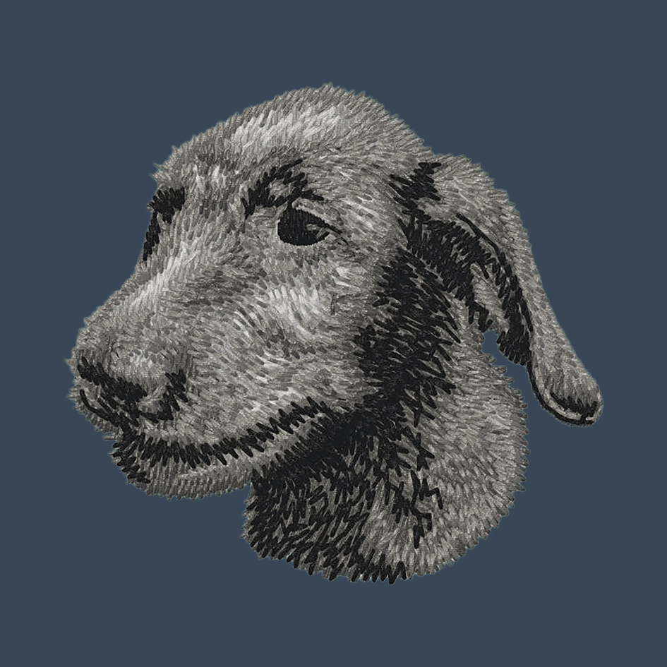 Irish Wolfhound Embroidered Women's Denim Shirt
