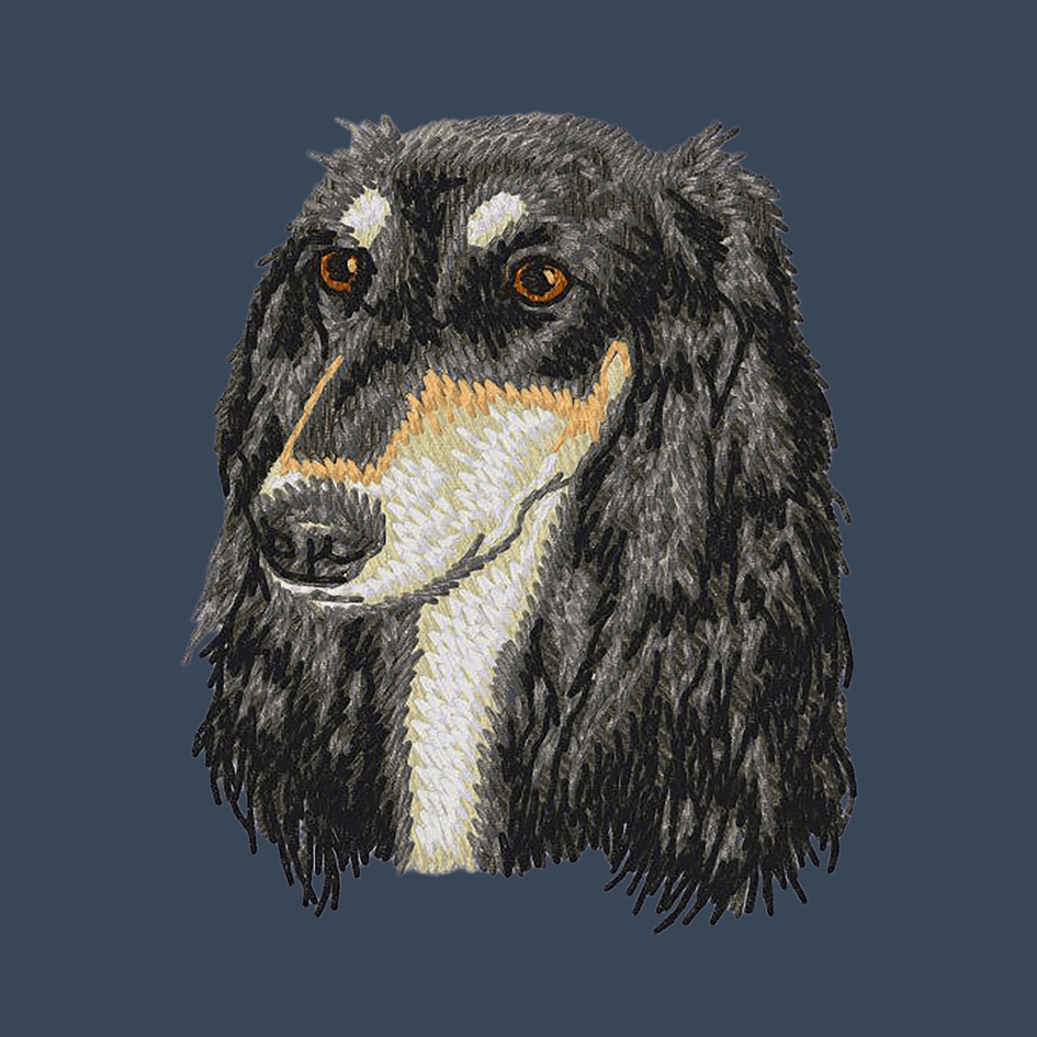Saluki Embroidered Women's Denim Shirt