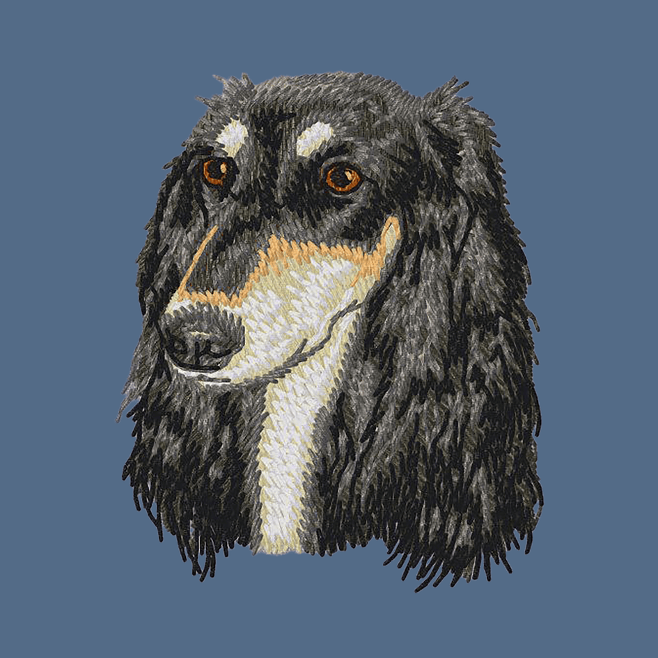 Saluki Embroidered Women's Denim Shirt