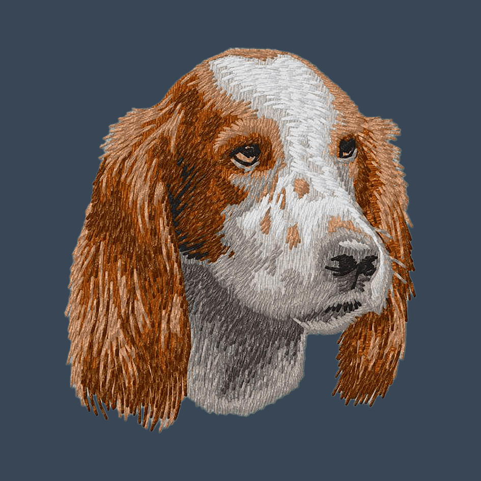 Irish Red and White Setter Embroidered Women's Denim Shirt