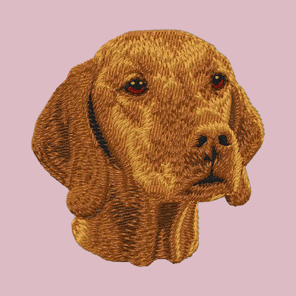 Vizsla Embroidered Baseball Cap