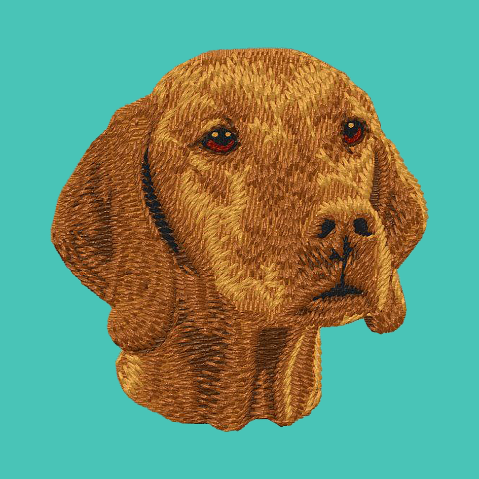 Vizsla Embroidered Baseball Cap