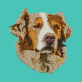 Australian Shepherd Embroidered Baseball Cap