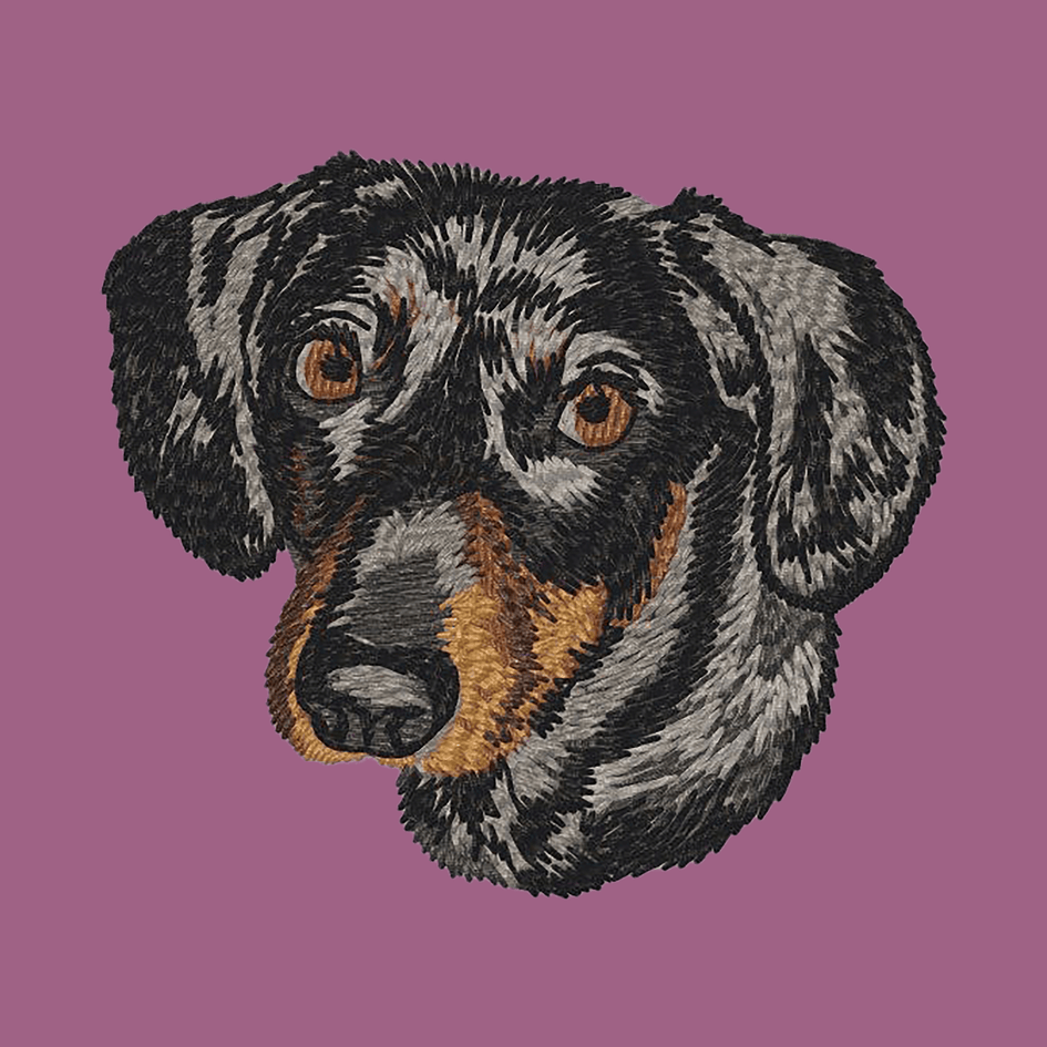 Dachshund Embroidered Classic Long Sleeve Shirt