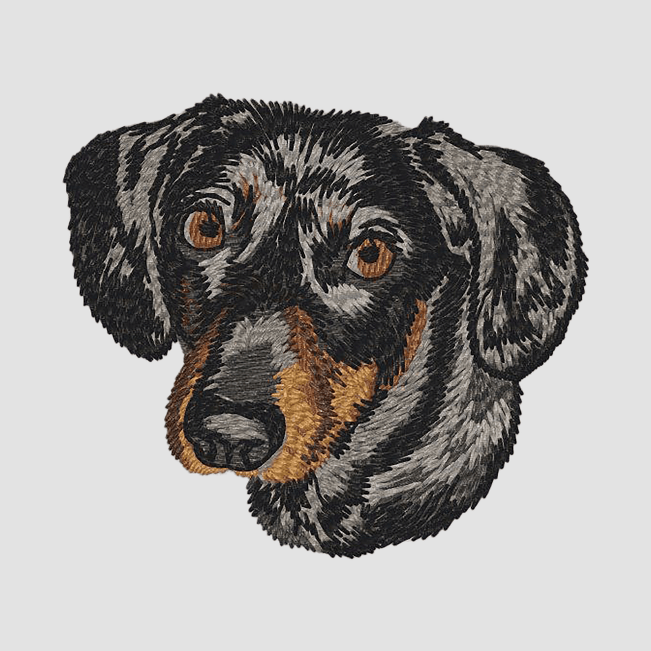 Dachshund Embroidered Classic Long Sleeve Shirt