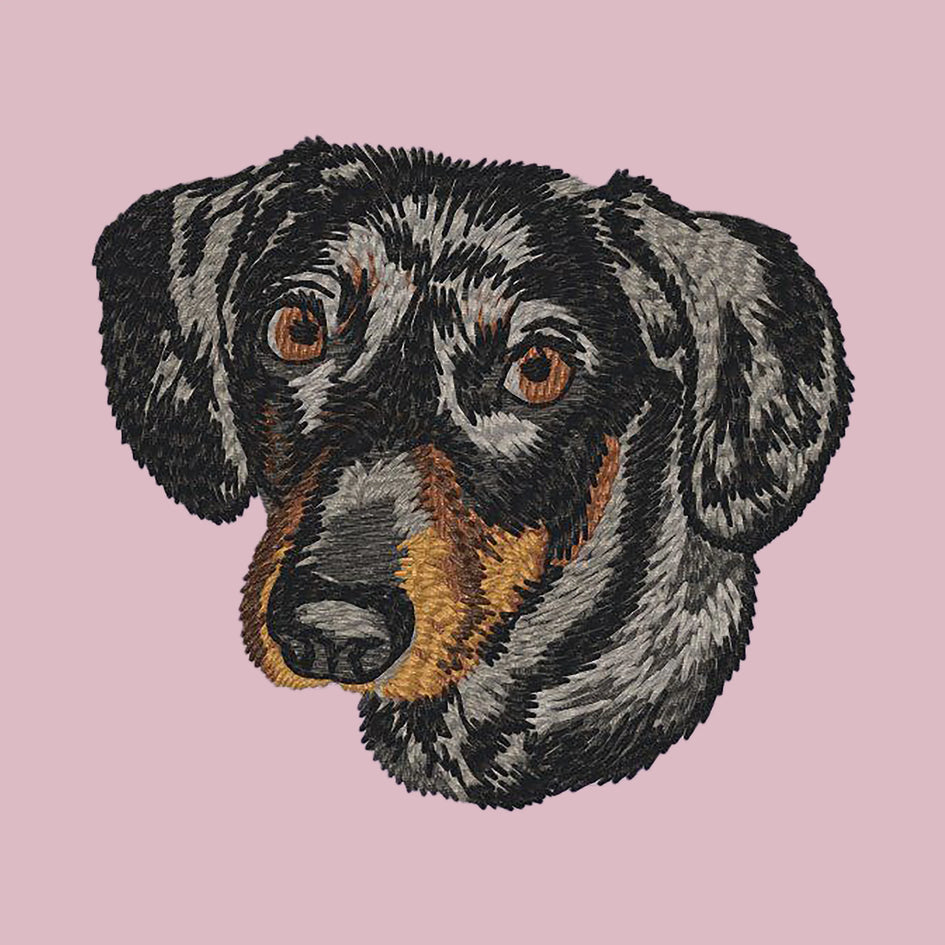 Dachshund Embroidered Baseball Cap