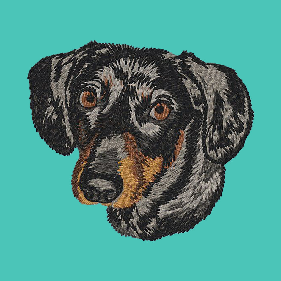 Dachshund Embroidered Baseball Cap