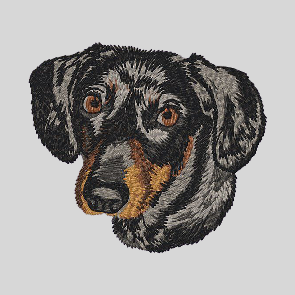 Dachshund Embroidered Mock Neck Sweatshirt