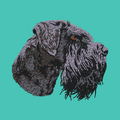Giant Schnauzer Embroidered Baseball Cap