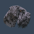 Giant Schnauzer Embroidered Women's Denim Shirt