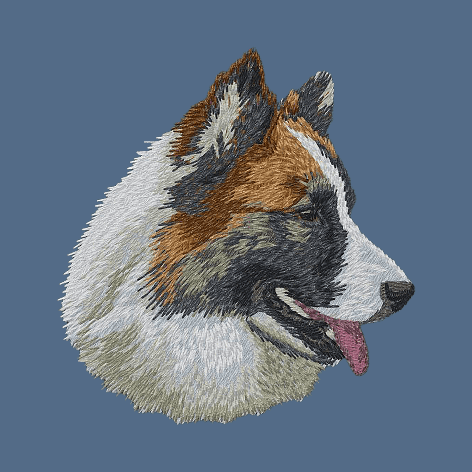 Icelandic Sheepdog Embroidered Women's Denim Shirt