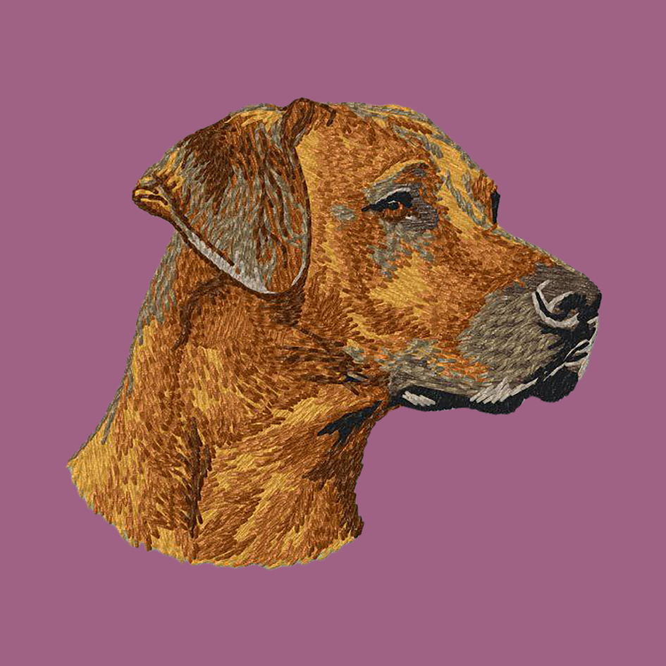 Rhodesian Ridgeback Embroidered Classic Long Sleeve Shirt