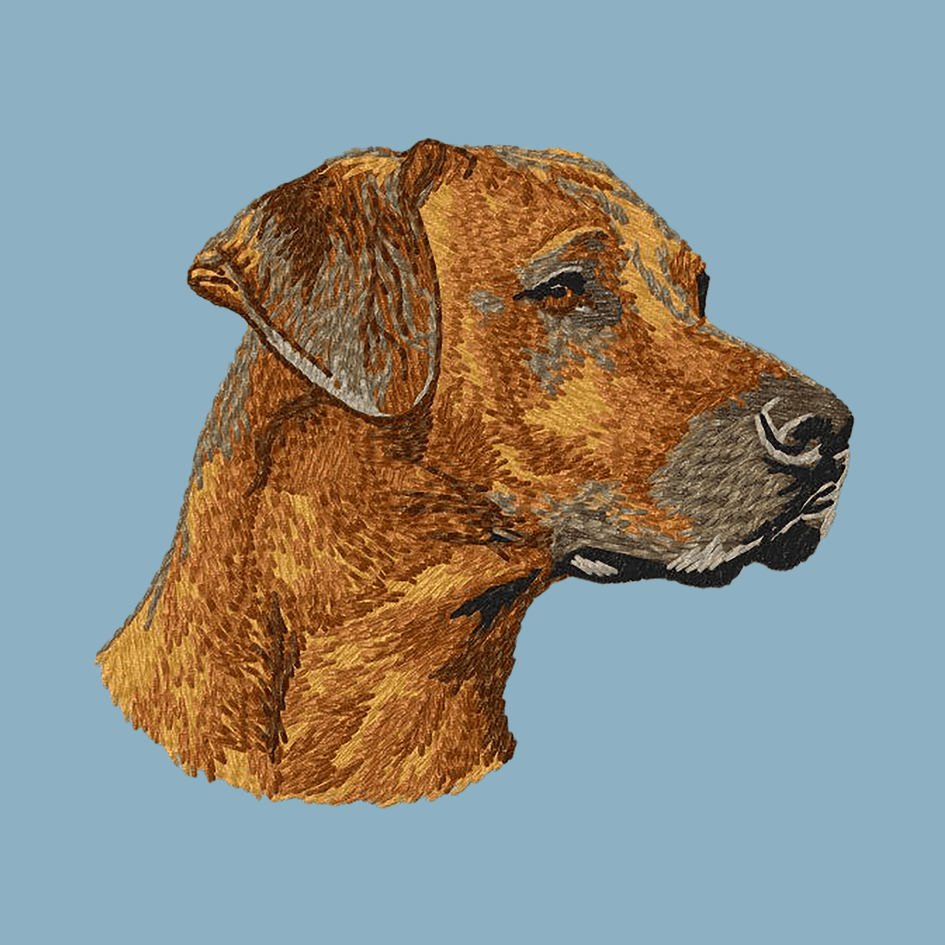 Rhodesian Ridgeback Embroidered Sweatshirt Hoodie