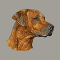 Rhodesian Ridgeback Embroidered Sweatshirt Hoodie
